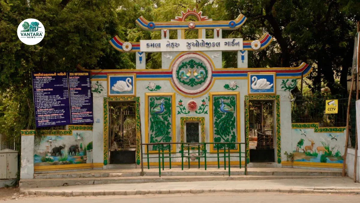 Kamla Nehru Zoological Garden Kankaria, Ahmedabad
