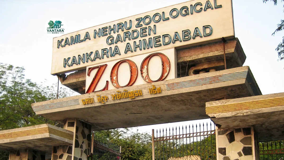 Kamla Nehru Zoological Garden Kankaria, Ahmedabad