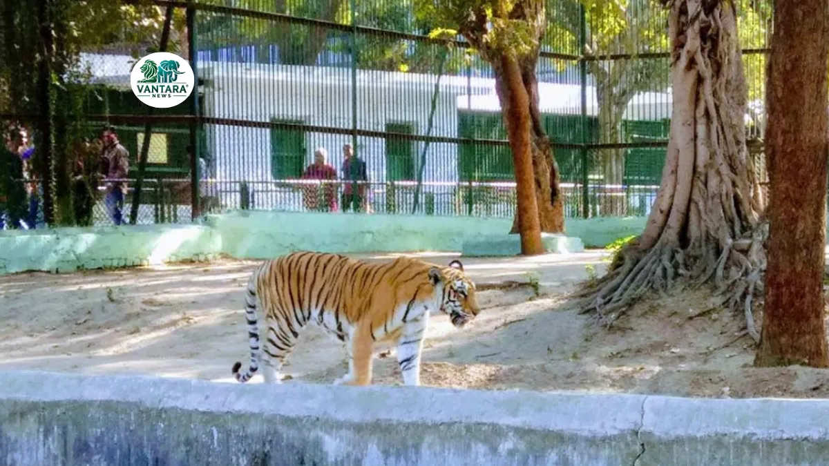 Kamla Nehru Zoological Garden Kankaria, Ahmedabad