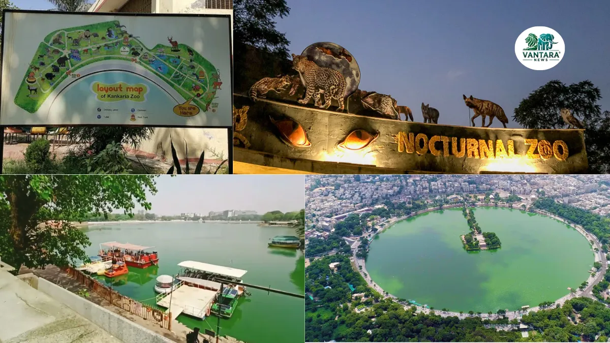 Kamla Nehru Zoological Garden Kankaria, Ahmedabad