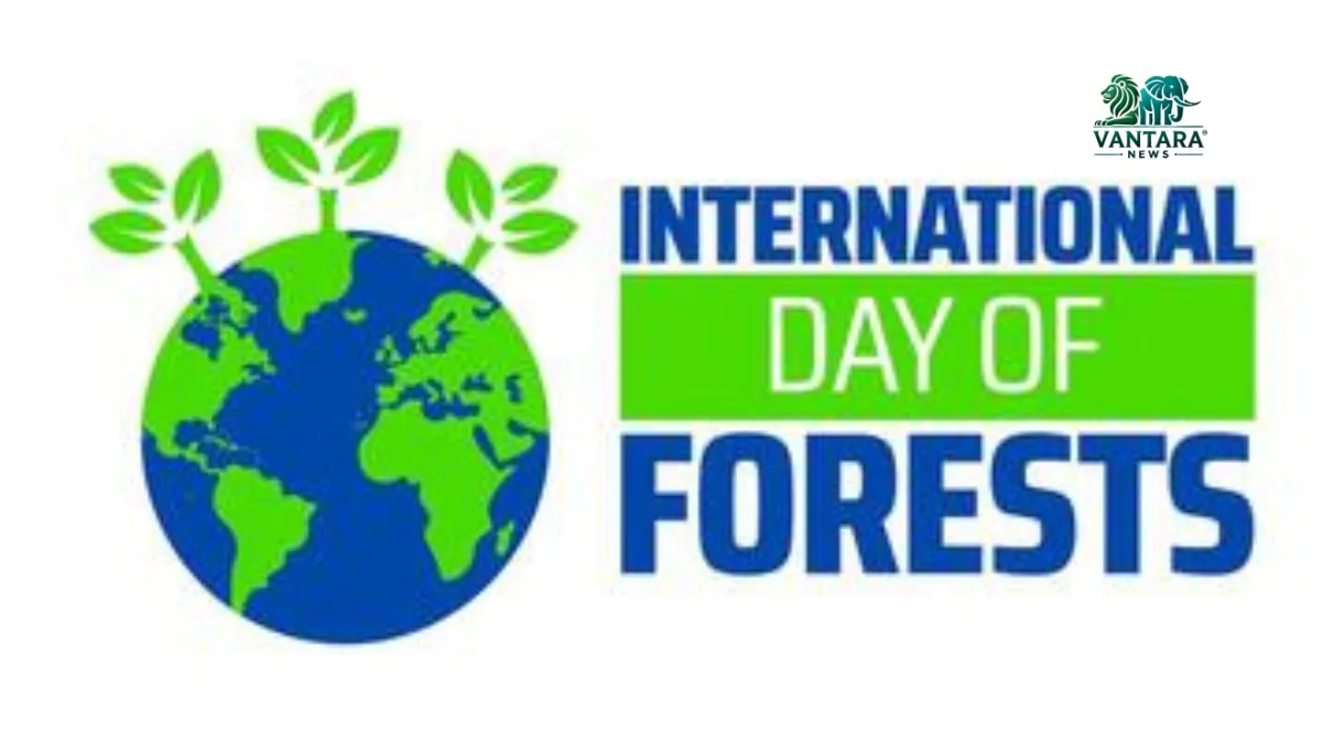 International Day of Forests 2025