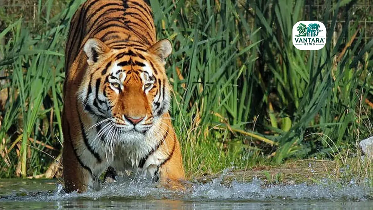 Omkareshwar Wildlife Sanctuary