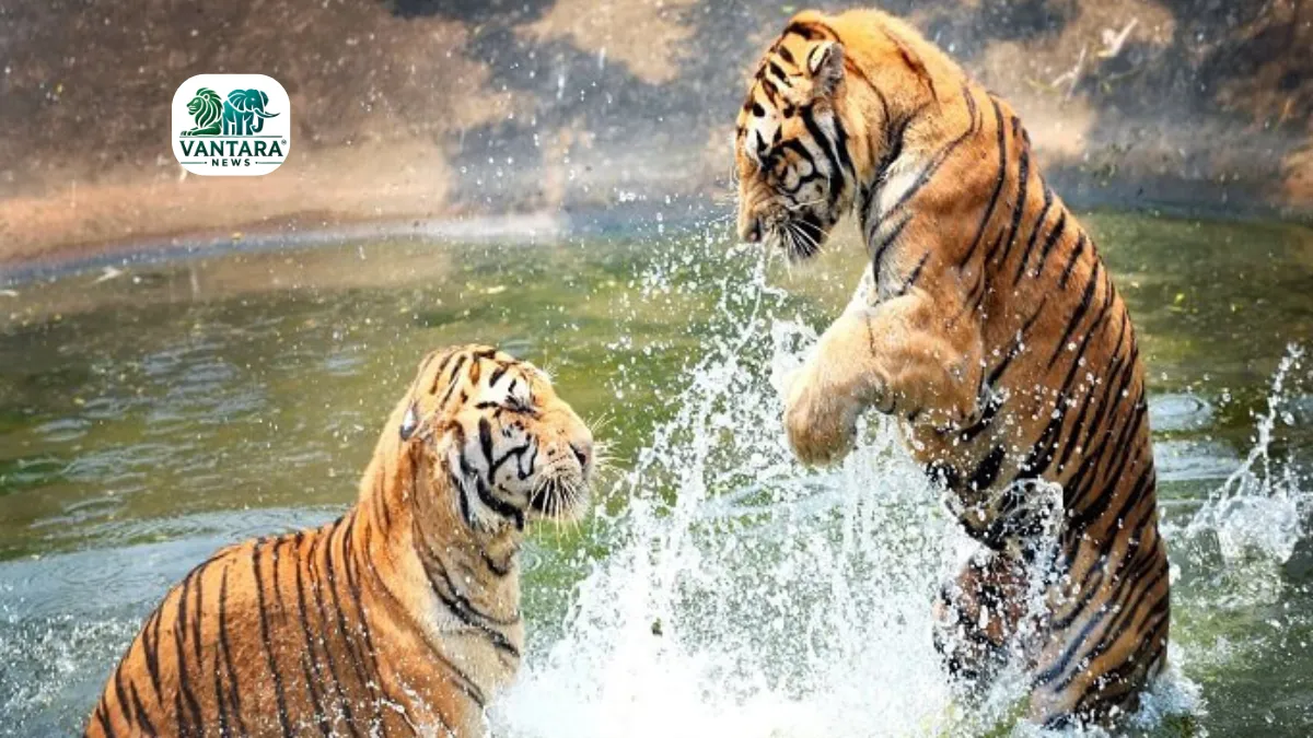 Omkareshwar Wildlife Sanctuary