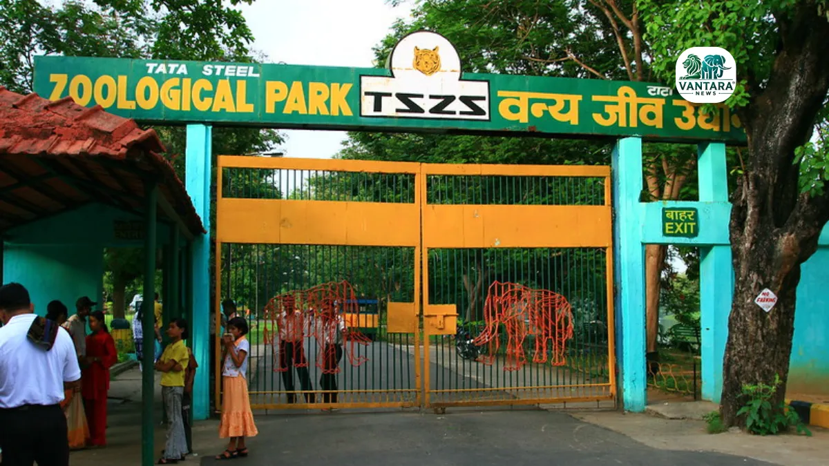 Tata Steel Zoological Park