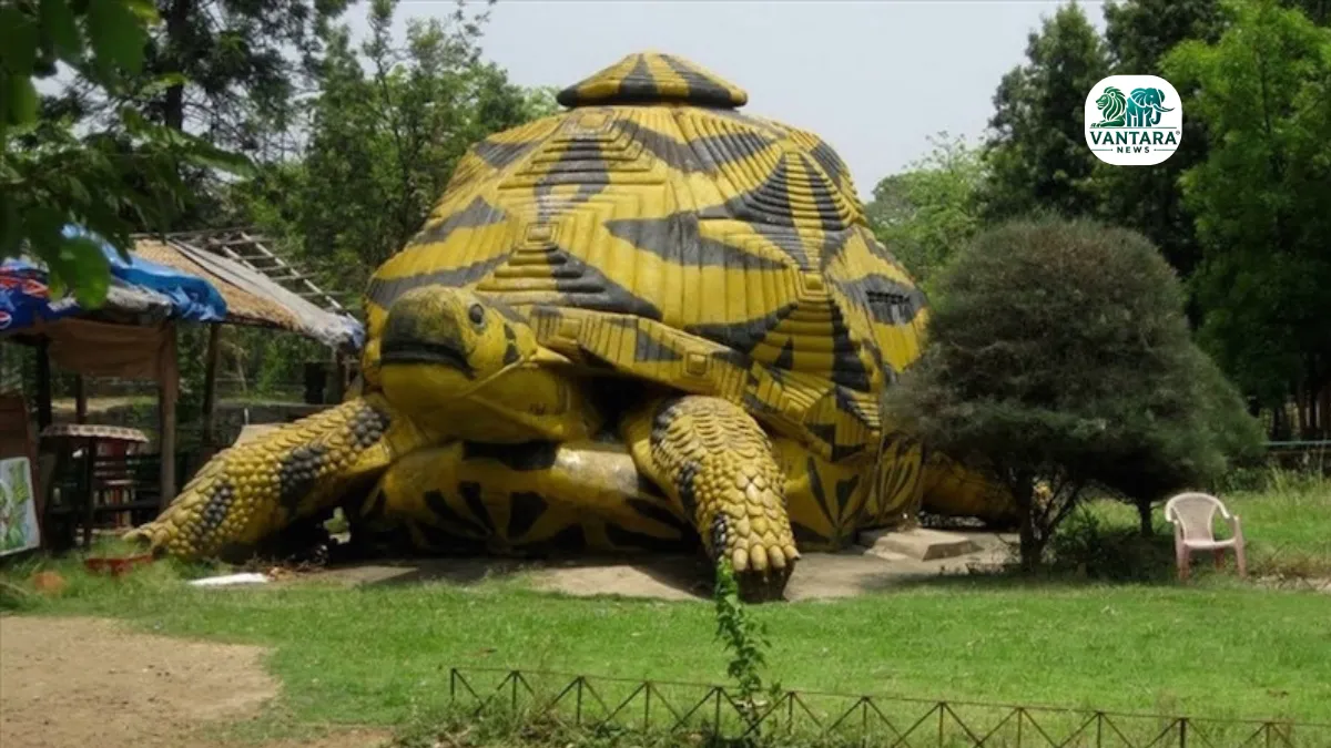 Tata Steel Zoological Park