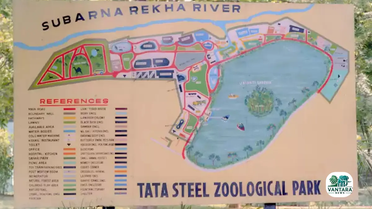 Tata Steel Zoological Park