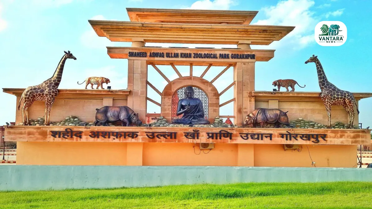 Elephant Rescue Center Gorakhpur