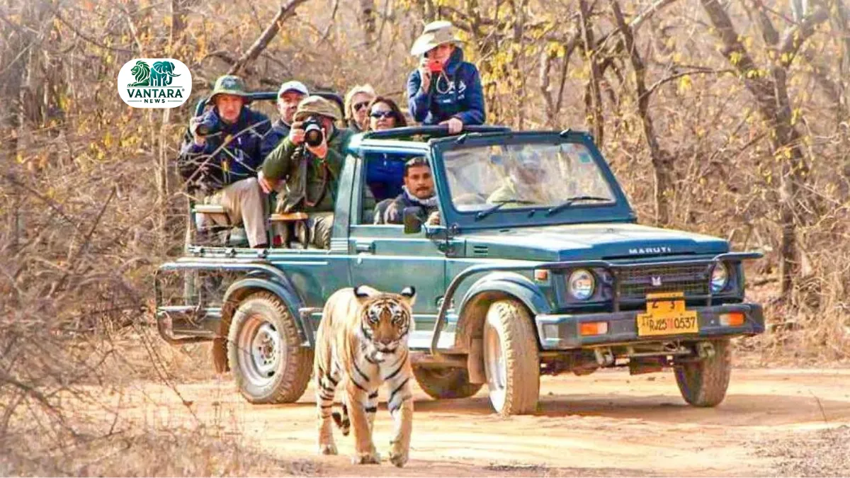 Bandhavgarh Tiger Reserve
