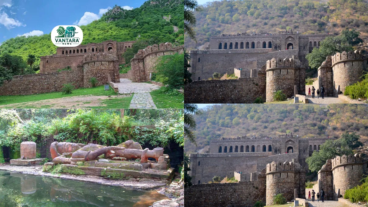 Bandhavgarh Tiger Reserve