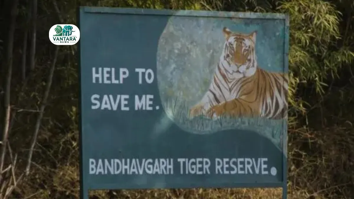 Bandhavgarh Tiger Reserve