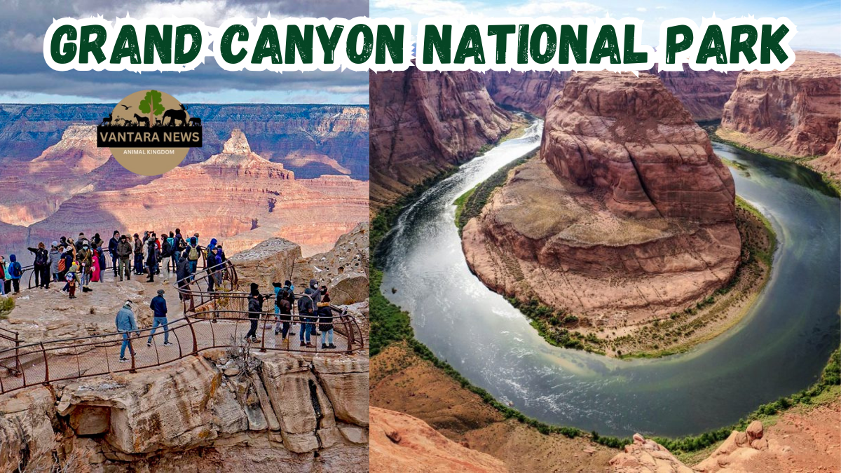 Grand Canyon National Park