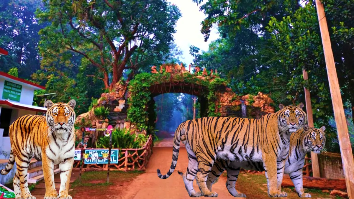 similipal national park