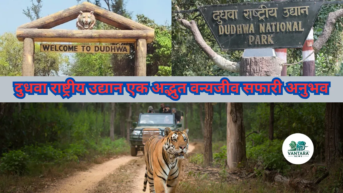 Dudhwa National Park