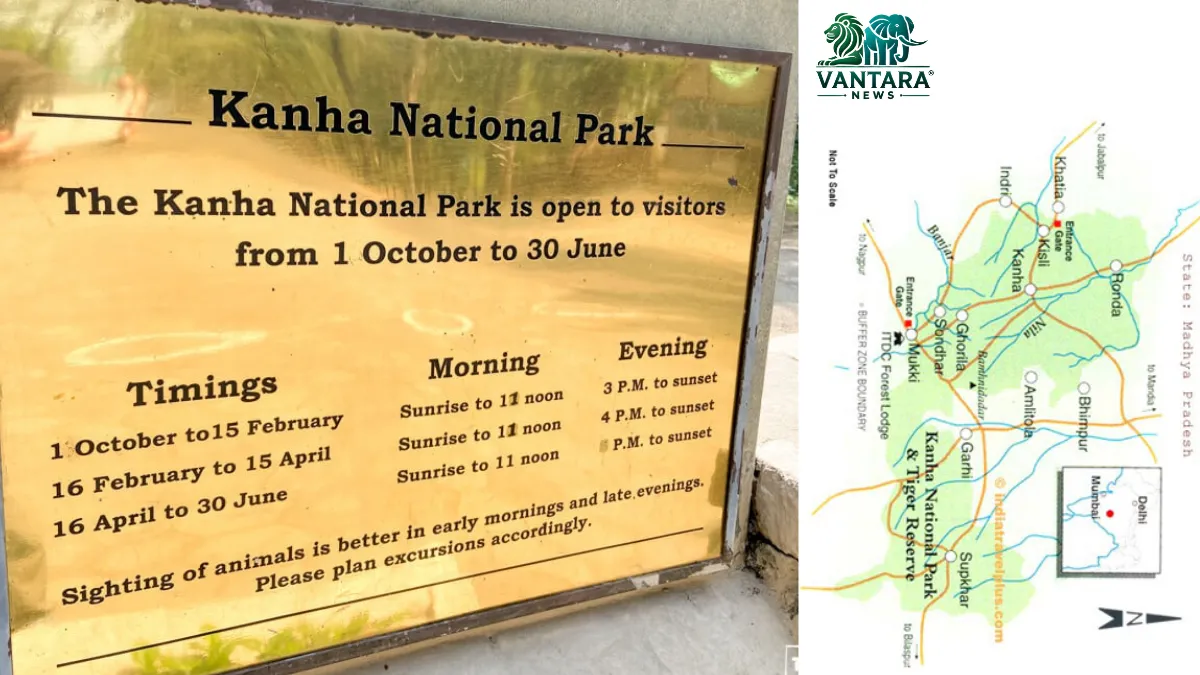 Kanha National Park timings, ticket prices