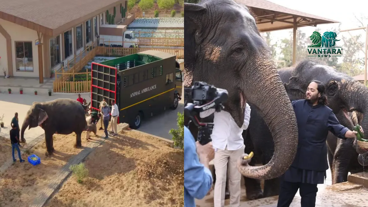 अनंत अंबानी का 'वनतारा'