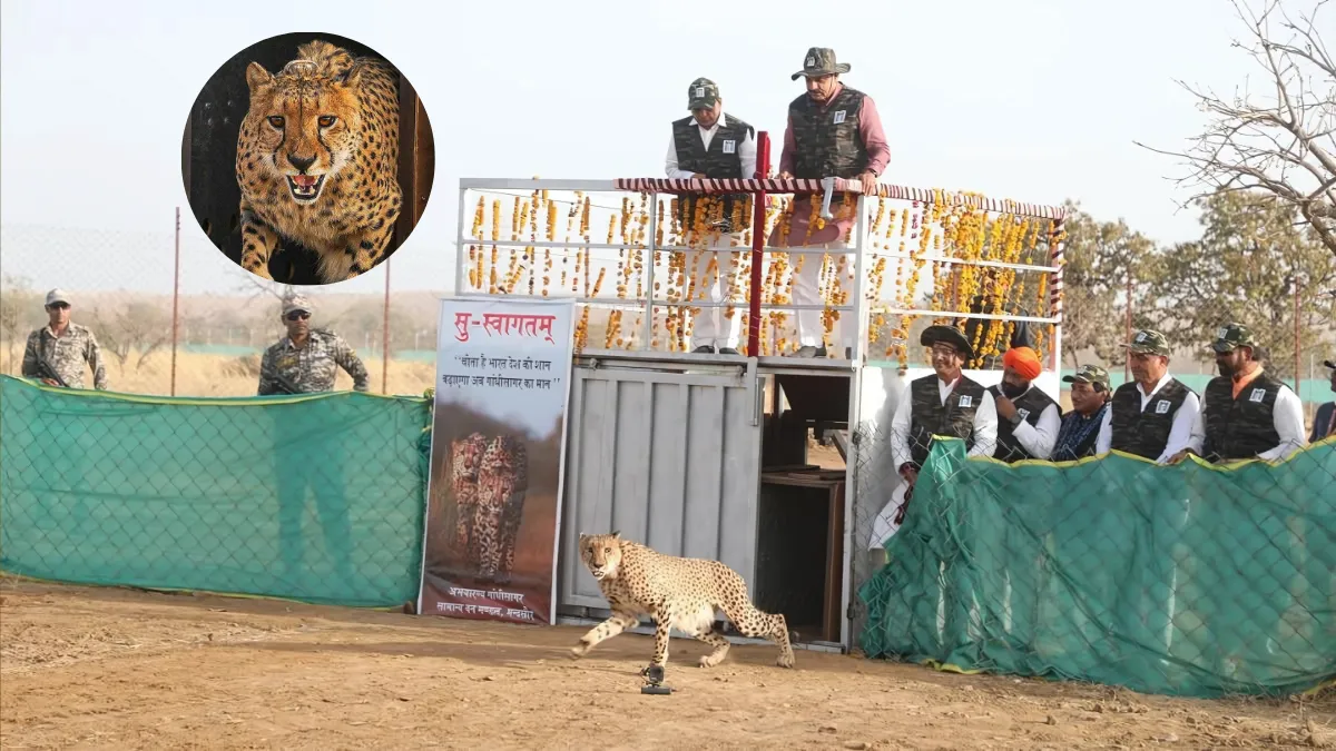 Gandhi Sagar Sanctuary