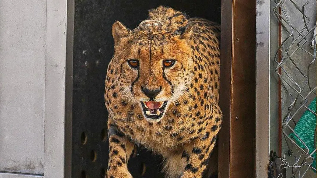 Gandhi Sagar Sanctuary