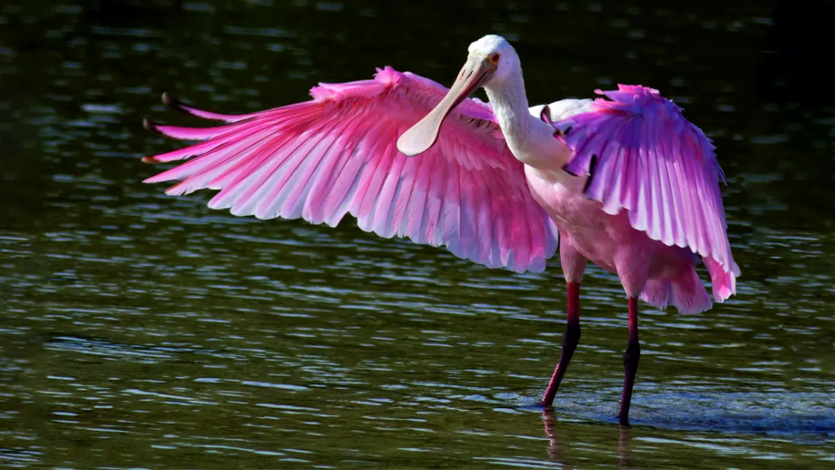 Narayan Sarovar Wildlife Sanctuary