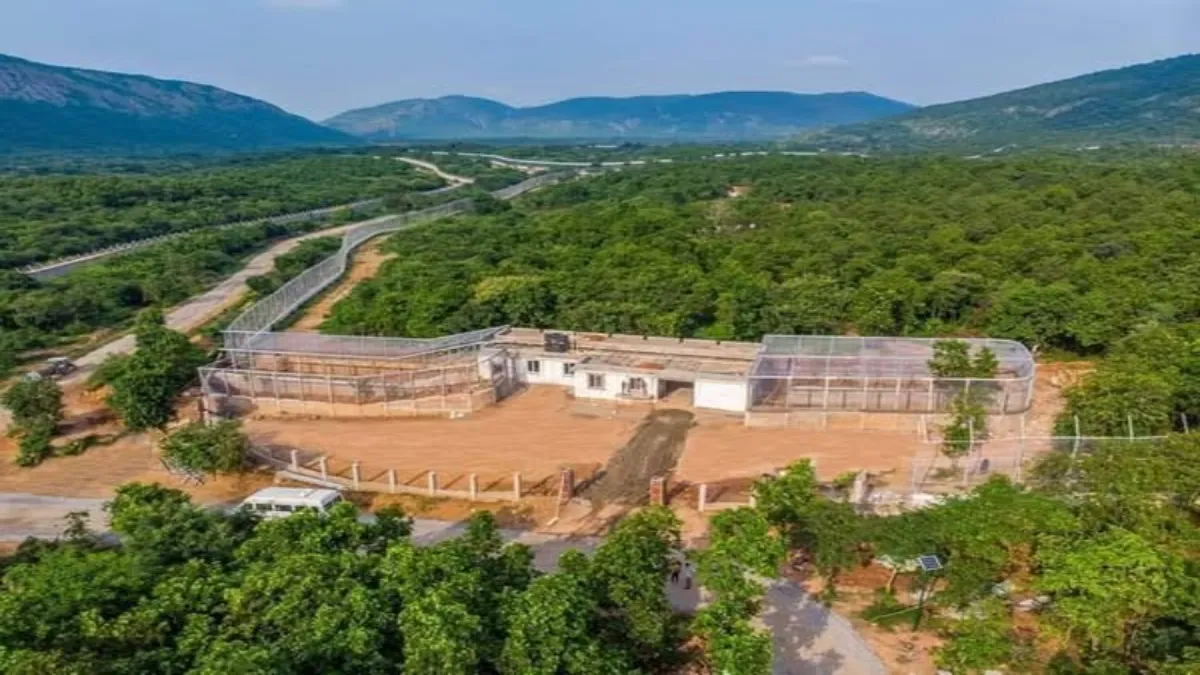 Rajgir Zoo Safari timings