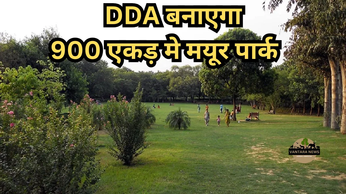 Delhi Picnic Spots