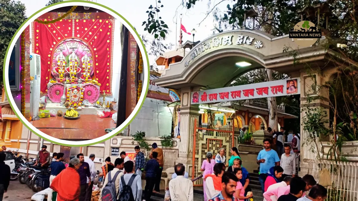 Bala Hanuman Temple Jamnagar timings