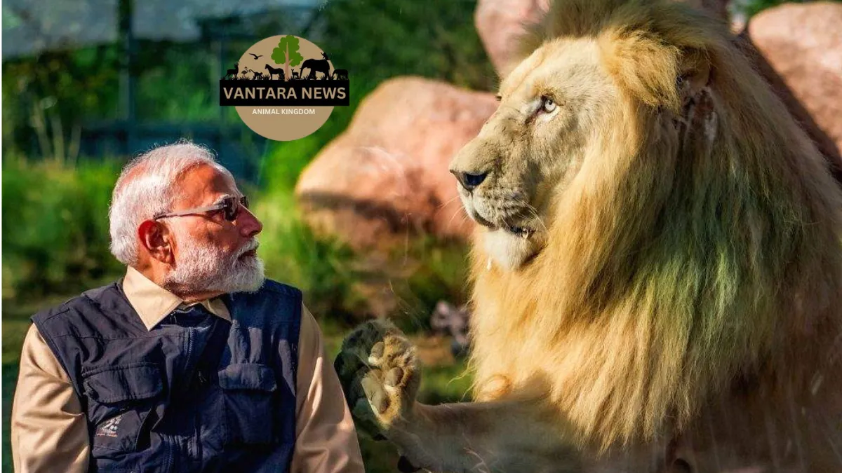 Prime Minister Narendra Modi Visit to Vantara