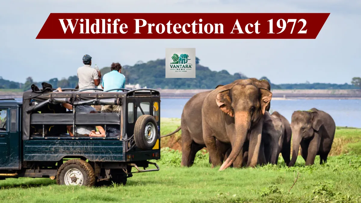 Wildlife Protection Act 1972