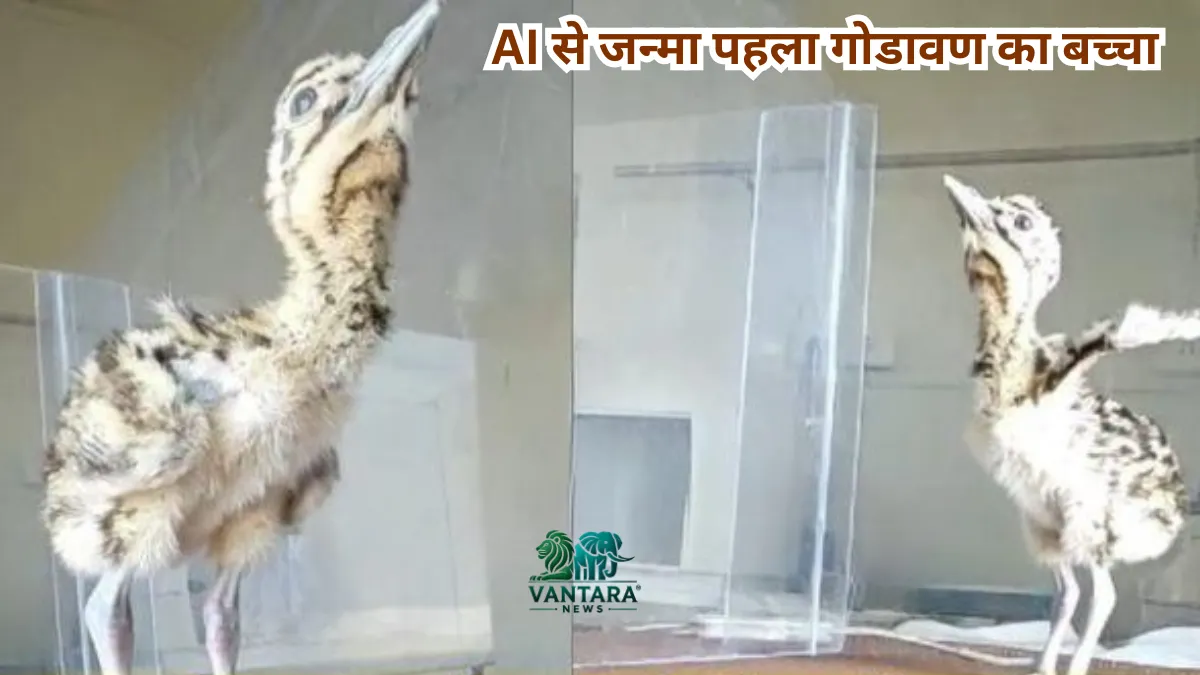 Rajasthan Wildlife Conservation