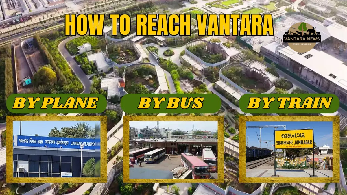 How to Reach Vantara