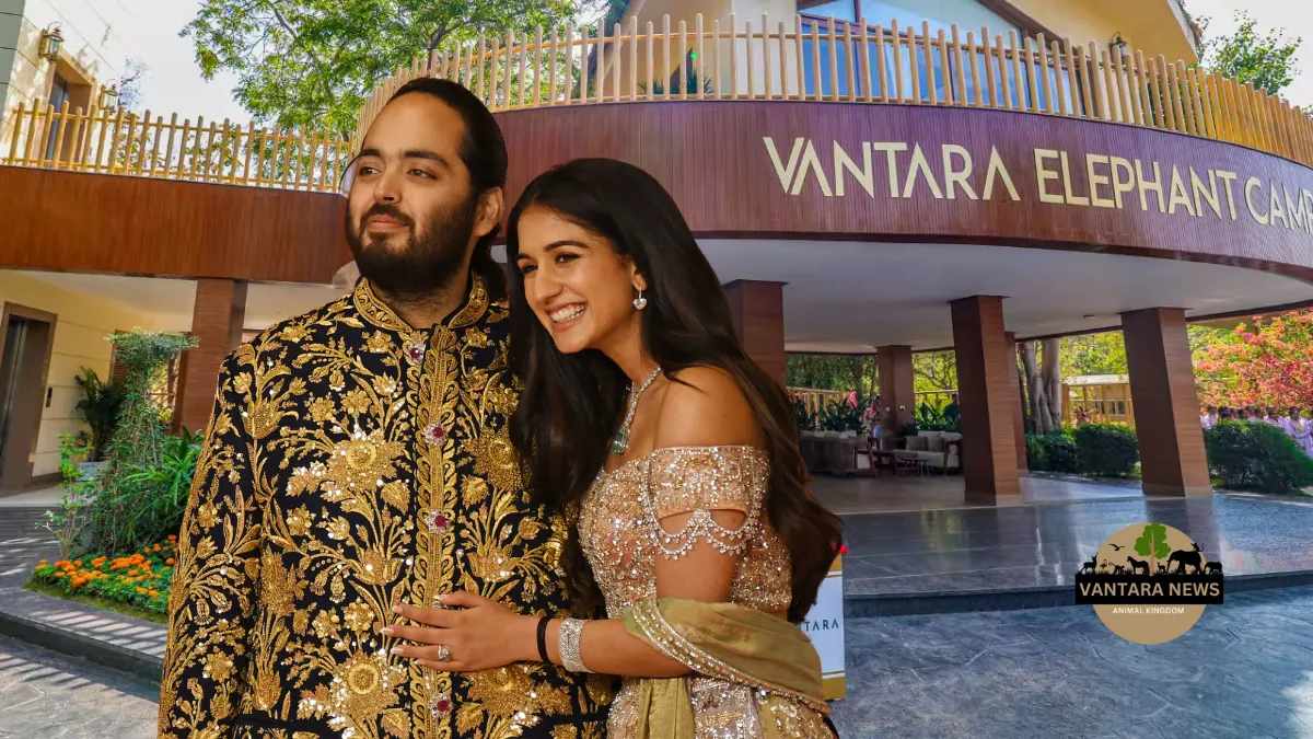 Anant Ambani and Radhika Merchant