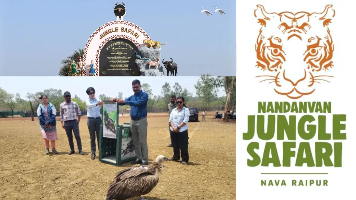 Nandanvan Jungle Safari