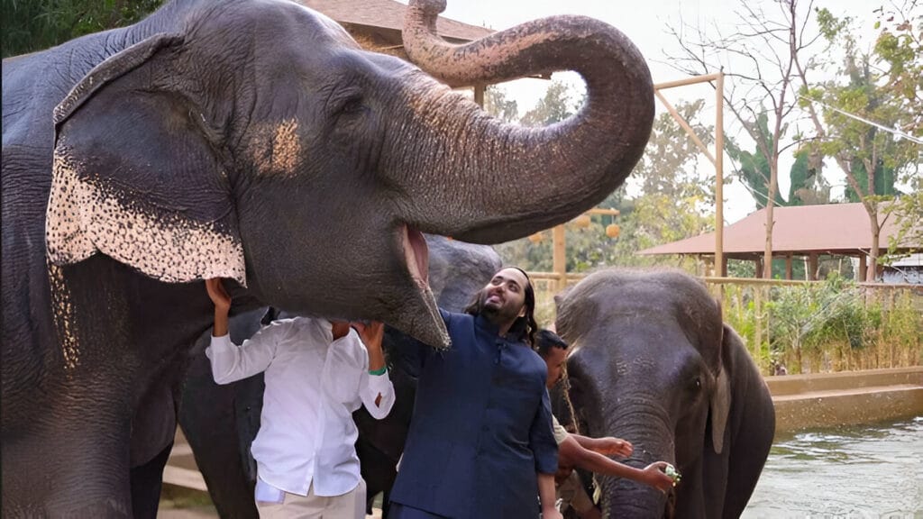 Elephants of Vantara