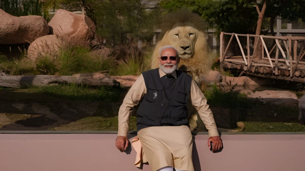 Asiatic Lions Of Vantara