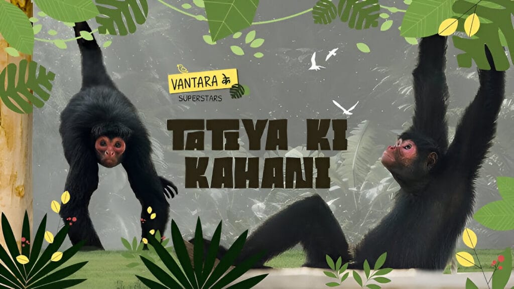Monkeys and Langurs Of Vantara