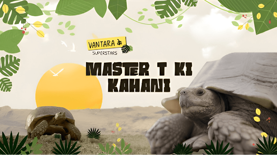 Birds and Turtles Of Vantara