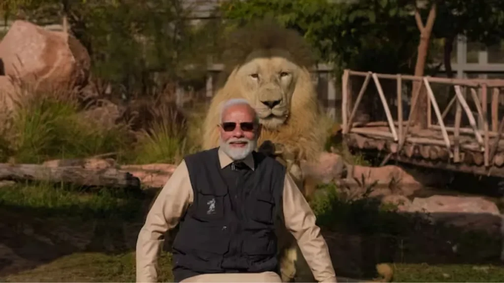 Vantara Jamnagar Big Cats