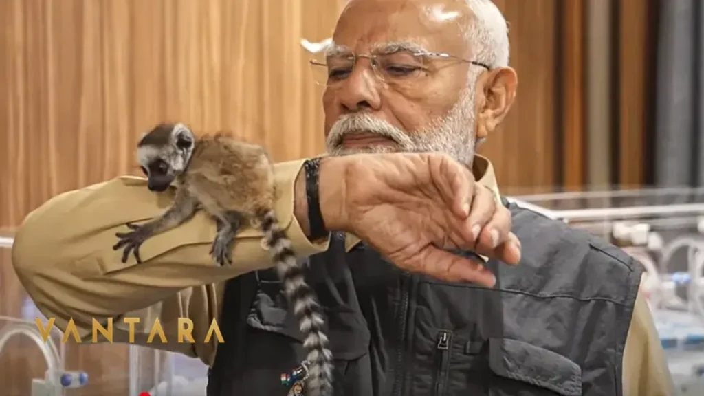 Vantara Jamnagar Primates
