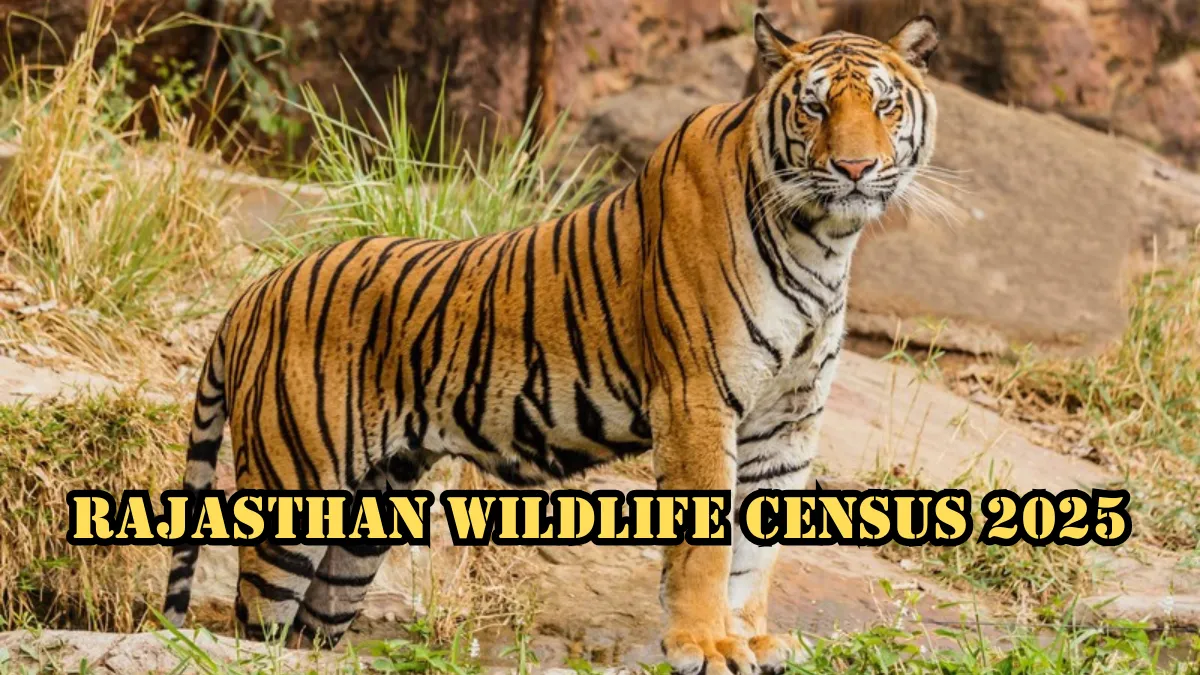 Rajasthan Wildlife Census 2025