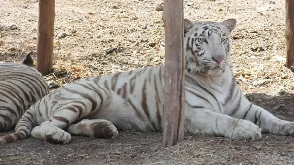 Rajkot Pradyumna Park