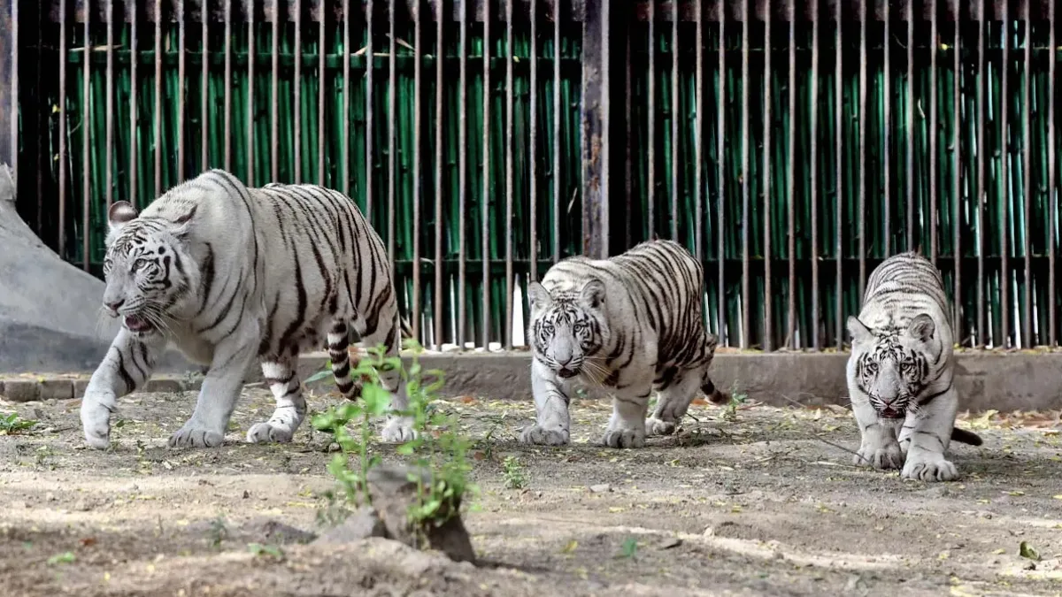 Rajkot Pradyumna Park