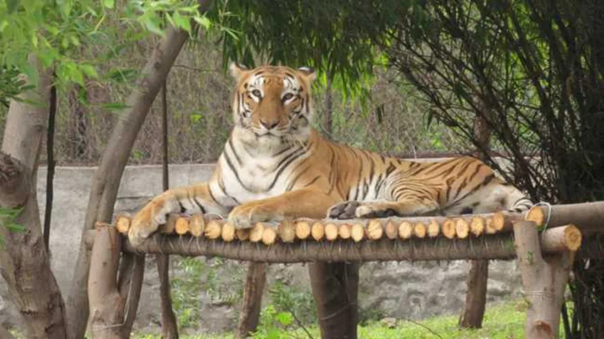 Rajkot Pradyumna Park