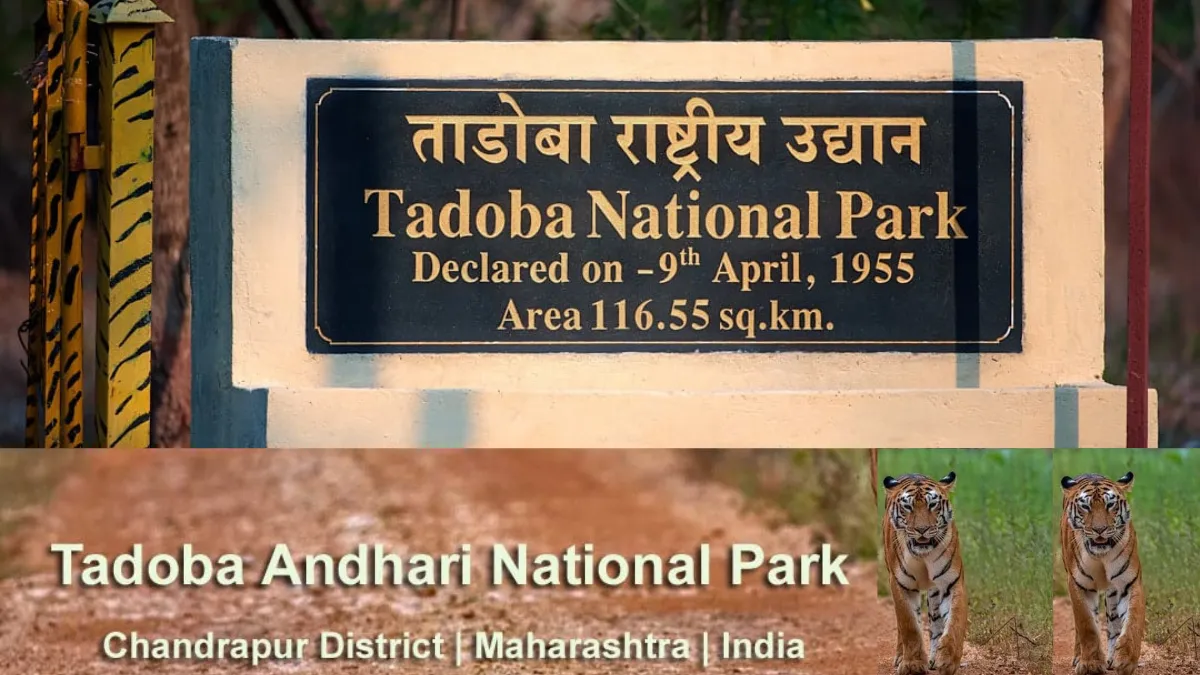 Tadoba Andhari Tiger Reserve