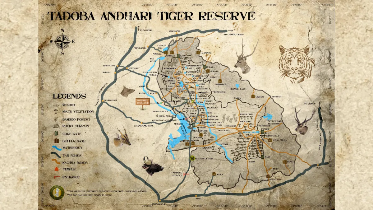 Tadoba Andhari Tiger Reserve