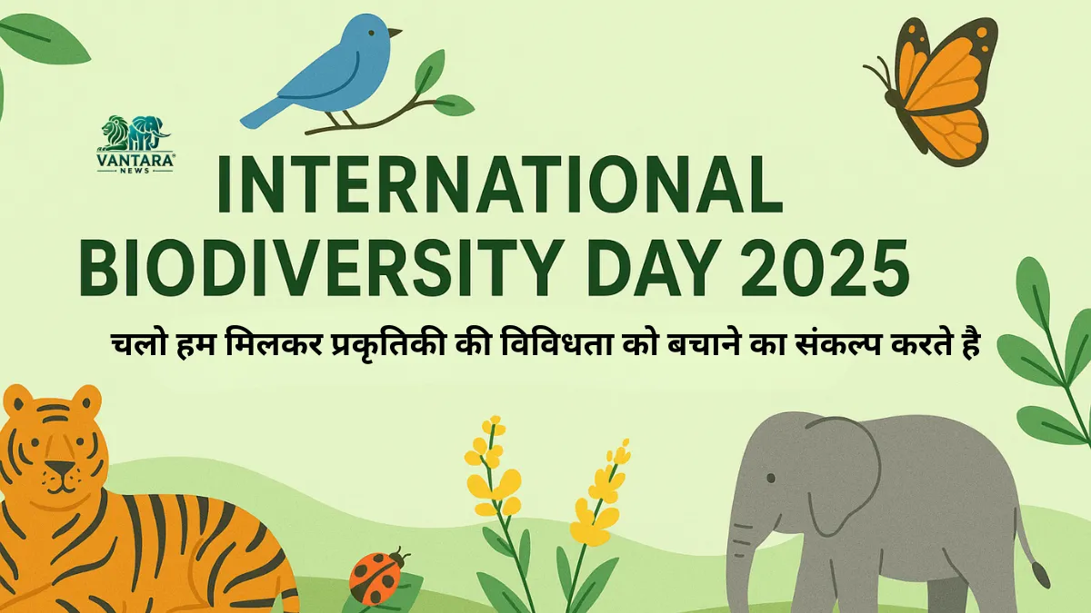 International Biodiversity Day 2025