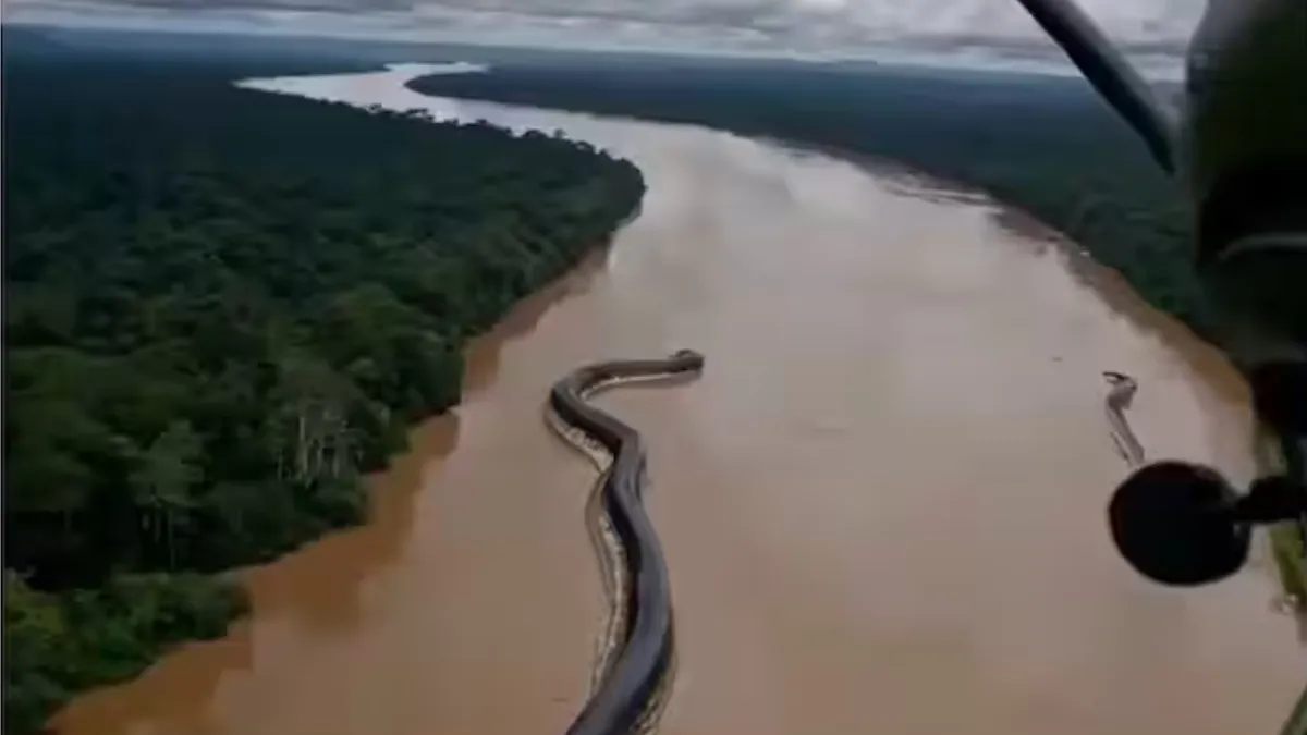 अमेजन नदी में तैरता नजर आया विशालकाय एनाकोंडा