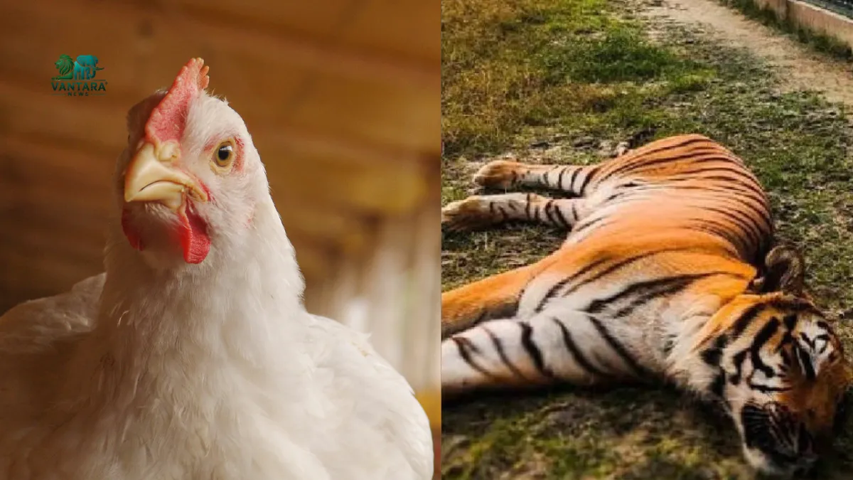 गोरखपुर से लखनऊ तक अलर्ट