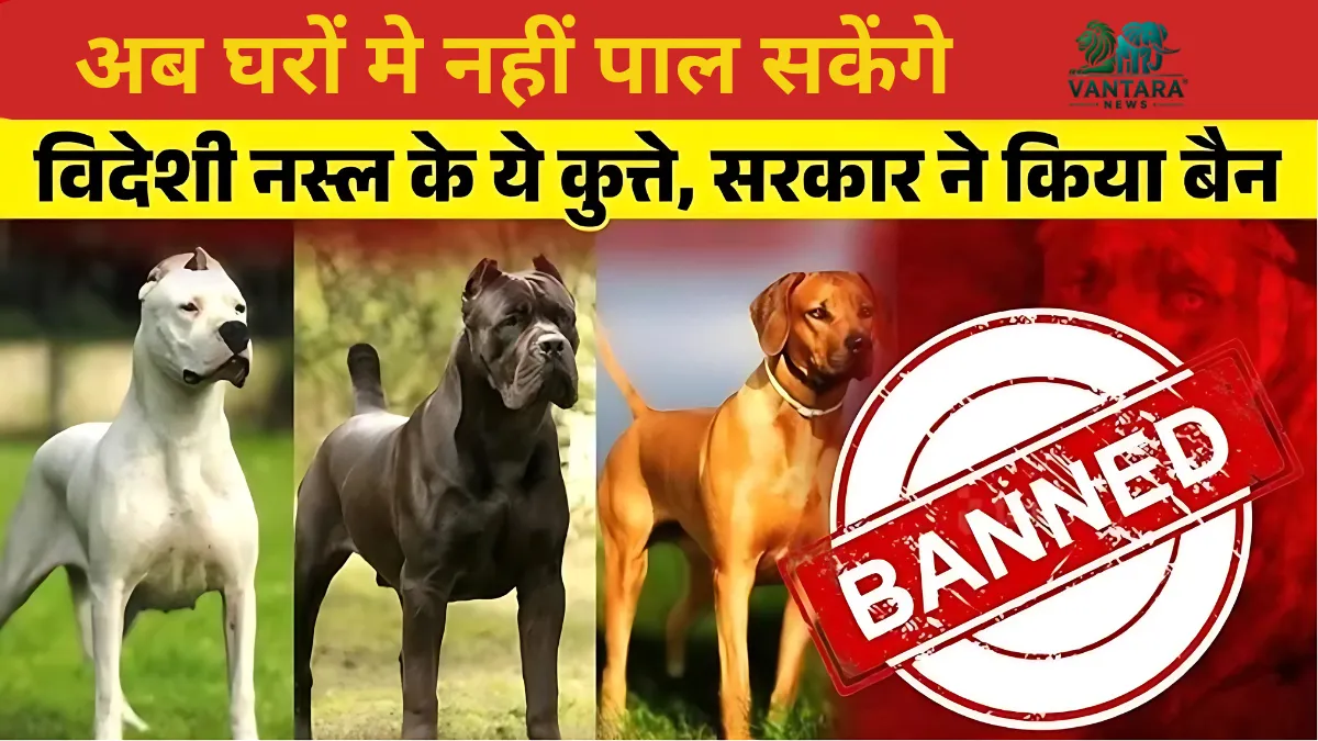 खतरनाक कुत्तों की नस्लों पर प्रतिबंध