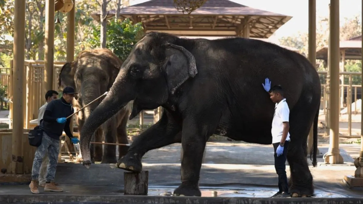 Vantara Jamnagar Booking Online