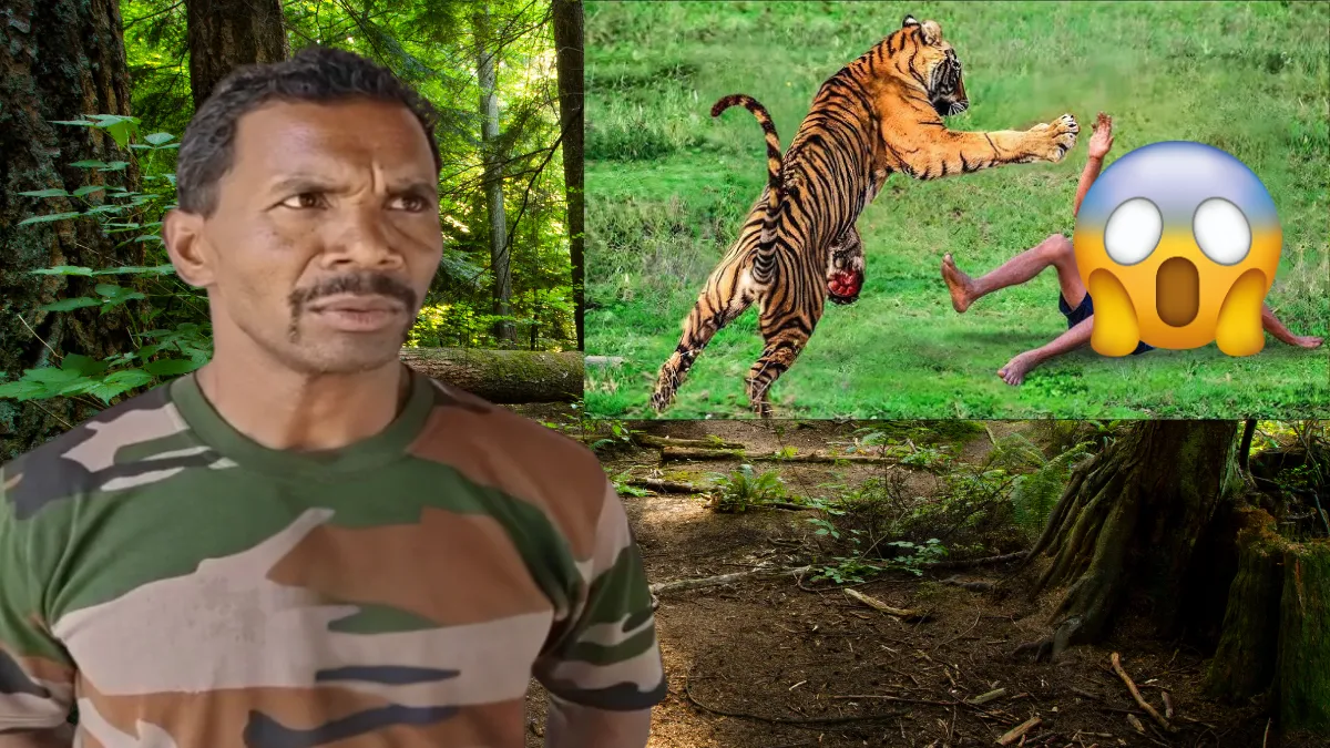 STR TIGER ATTACK WATCHMAN