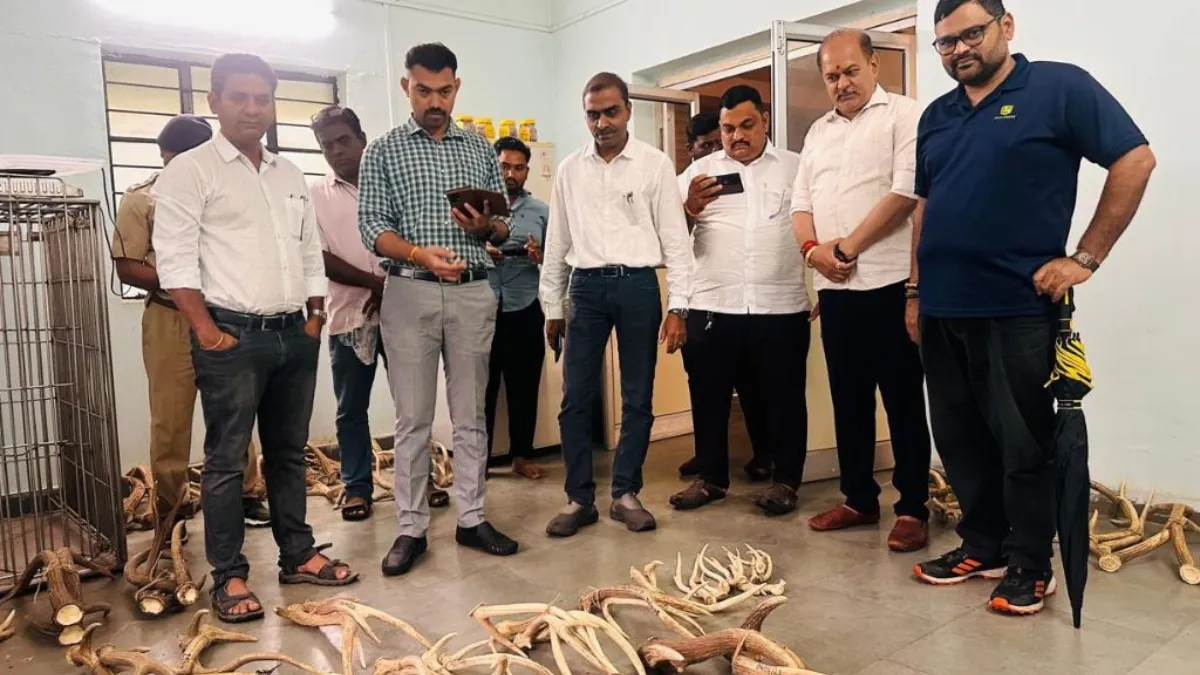 Deer Antlers Disposal India